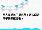 两人离婚孩子抚养费（两人离婚孩子抚养权归谁）