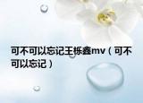 可不可以忘记王栎鑫mv（可不可以忘记）