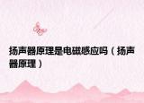 扬声器原理是电磁感应吗（扬声器原理）
