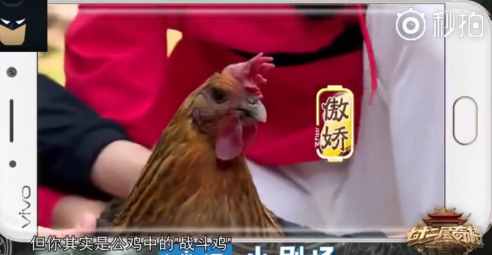 吴亦凡问出那句：火遍网络的freestyle究竟是什么梗？
