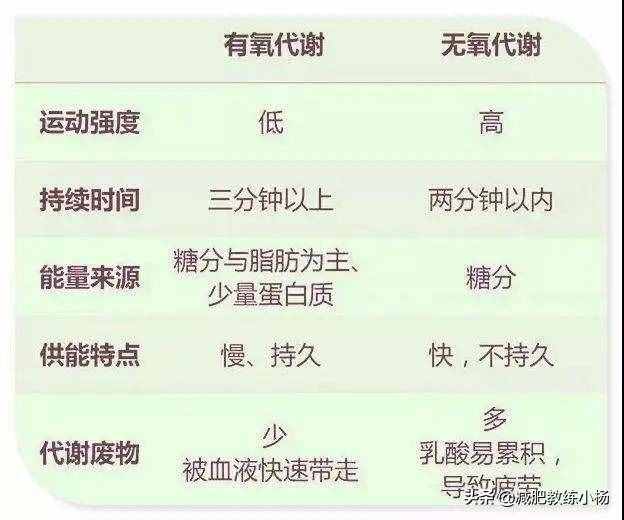 8个月暴瘦40斤，奇葩说刘楠学霸式减肥法，3个步骤教你瘦下来