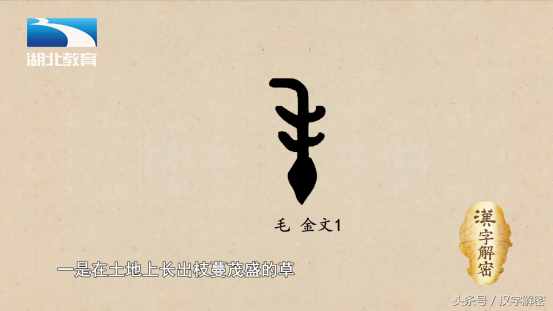 汉字解密|毛:数数看 毛姓名人里你都认识谁