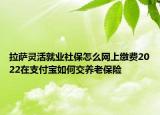 拉萨灵活就业社保怎么网上缴费2022在支付宝如何交养老保险