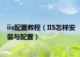 iis配置教程（IIS怎样安装与配置）