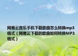 网易云音乐手机下载歌曲怎么转换mp3格式（网易云下载的歌曲如何转换MP3格式）