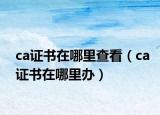 ca证书在哪里查看（ca证书在哪里办）