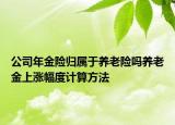 公司年金险归属于养老险吗养老金上涨幅度计算方法