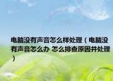 电脑没有声音怎么样处理（电脑没有声音怎么办 怎么排查原因并处理）
