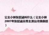 公主小妹张韶涵叫什么（公主小妹 2007年张韶涵吴尊主演台湾偶像剧）