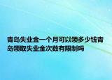 青岛失业金一个月可以领多少钱青岛领取失业金次数有限制吗