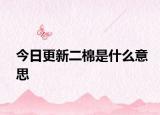 今日更新二棉是什么意思