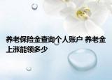 养老保险金查询个人账户 养老金上涨能领多少