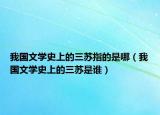 我国文学史上的三苏指的是哪（我国文学史上的三苏是谁）
