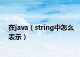 在java（string中怎么表示）