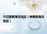 今日更新海马效应（神奇的海马效应）