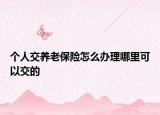 个人交养老保险怎么办理哪里可以交的