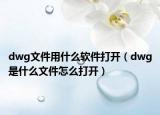 dwg文件用什么软件打开（dwg是什么文件怎么打开）