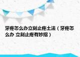 牙疼怎么办立刻止疼土法（牙疼怎么办 立刻止疼有妙招）