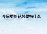 今日更新花芯是指什么
