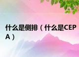 什么是侧排（什么是CEPA）