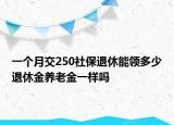 一个月交250社保退休能领多少退休金养老金一样吗