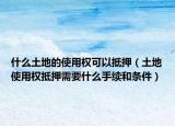什么土地的使用权可以抵押（土地使用权抵押需要什么手续和条件）