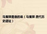 马嵬驿是谁的墓（马嵬驿 唐代历史遗址）