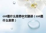 cnt是什么意思中文翻译（cnt是什么意思）