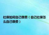 社保如何自己缴费（自己社保怎么自己缴费）