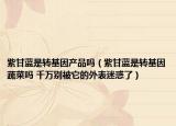 紫甘蓝是转基因产品吗（紫甘蓝是转基因蔬菜吗 千万别被它的外表迷惑了）