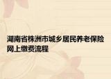 湖南省株洲市城乡居民养老保险网上缴费流程
