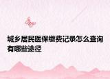 城乡居民医保缴费记录怎么查询有哪些途径