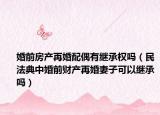 婚前房产再婚配偶有继承权吗（民法典中婚前财产再婚妻子可以继承吗）
