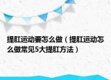提肛运动要怎么做（提肛运动怎么做常见5大提肛方法）