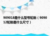 909018是什么型号轮胎（909012轮胎是什么尺寸）