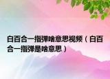 白百合一指弹啥意思视频（白百合一指弹是啥意思）