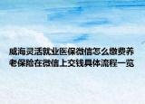 威海灵活就业医保微信怎么缴费养老保险在微信上交钱具体流程一览