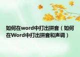 如何在word中打出拼音（如何在Word中打出拼音和声调）