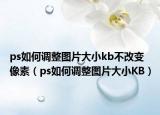 ps如何调整图片大小kb不改变像素（ps如何调整图片大小KB）