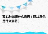 双11秒杀是什么意思（双11秒杀是什么意思）