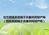 女方借钱买房属于夫妻共同财产吗（借款买房属于夫妻共同财产吗）