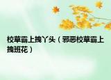校草霸上拽丫头（邪恶校草霸上拽班花）