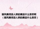 暖风熏得游人醉的熏是什么意思呢（暖风熏得游人醉的熏是什么意思）