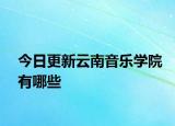 今日更新云南音乐学院有哪些