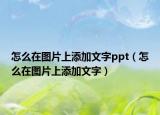 怎么在图片上添加文字ppt（怎么在图片上添加文字）