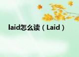 laid怎么读（Laid）