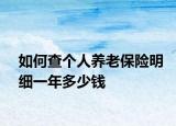 如何查个人养老保险明细一年多少钱