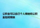 公积金可以自己个人缴纳吗公积金如何缴纳