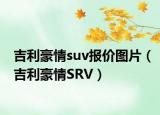 吉利豪情suv报价图片（吉利豪情SRV）