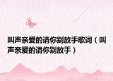 叫声亲爱的请你别放手歌词（叫声亲爱的请你别放手）